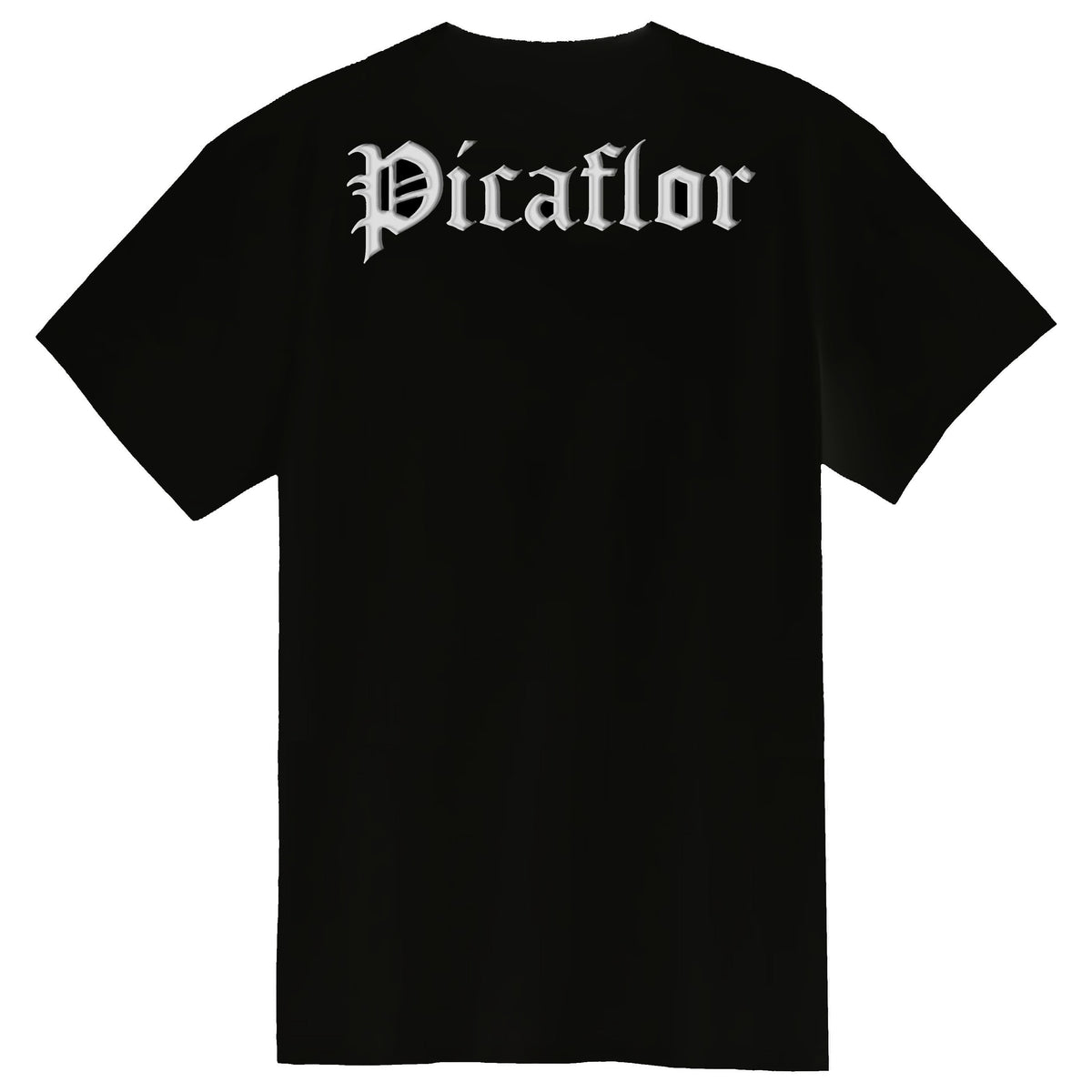 Picaflor i80 T-Shirt